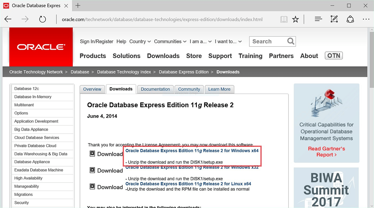 Oracle 10g Express Edition Free Download For Mac Downrup